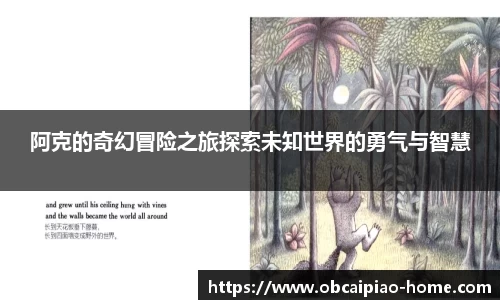 阿克的奇幻冒险之旅探索未知世界的勇气与智慧